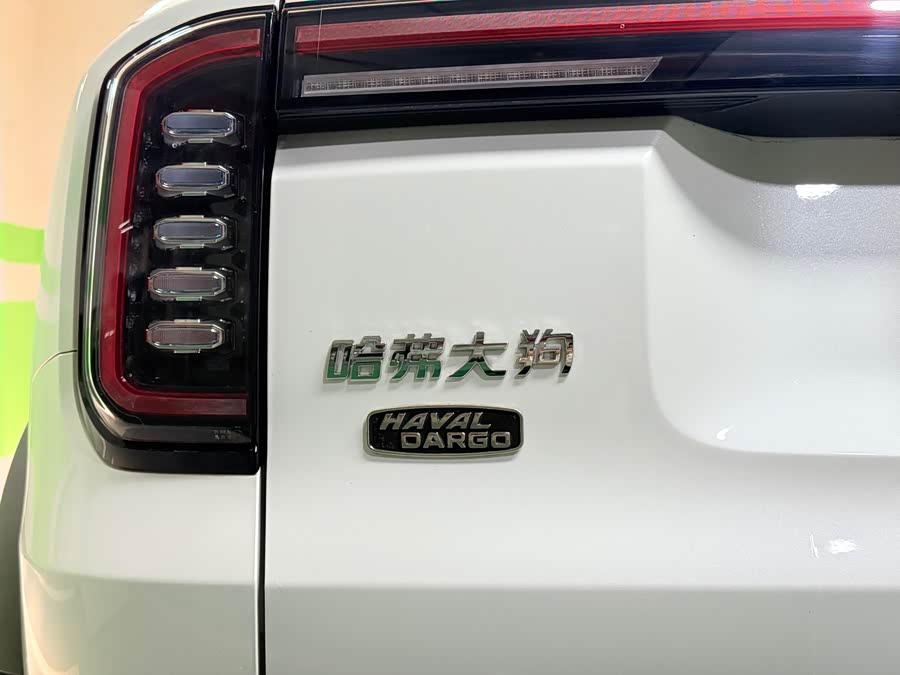 Haval X Dog / Dargo 2024 immagine di auto #22