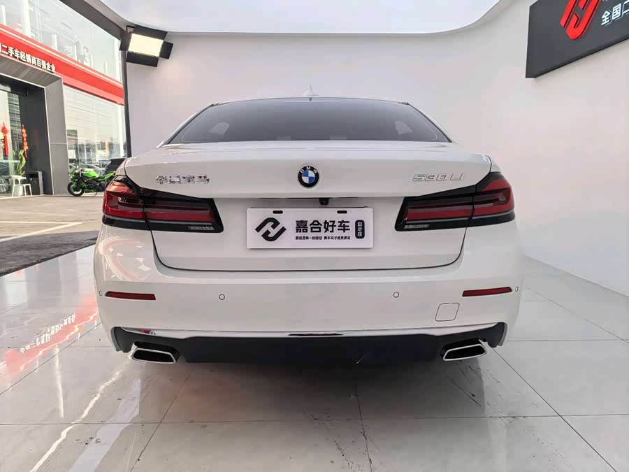 BMW 5 Series 2021 car image #22