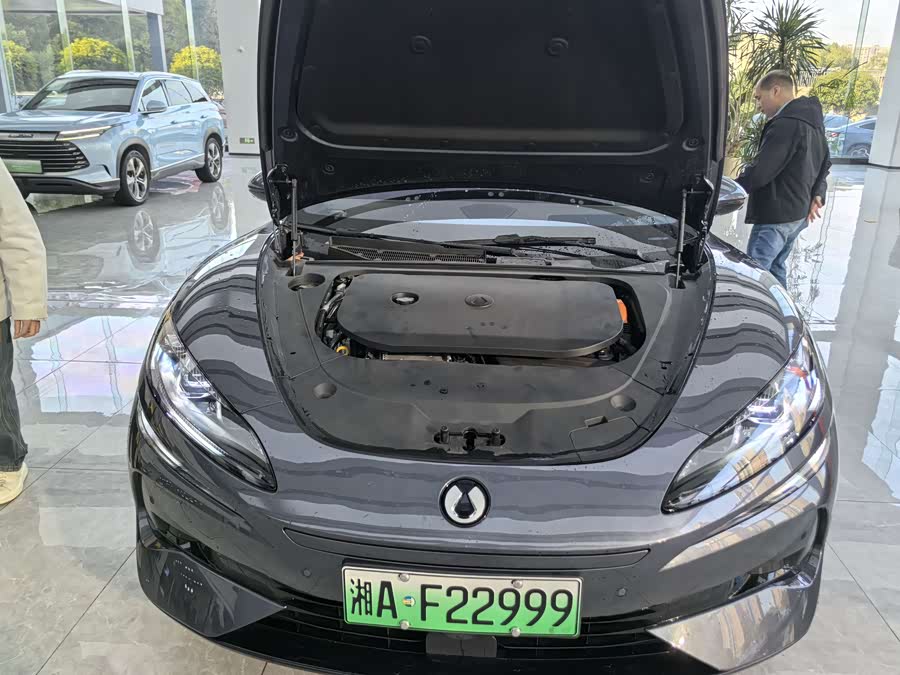 Denza Z9 2024 immagine di auto #22