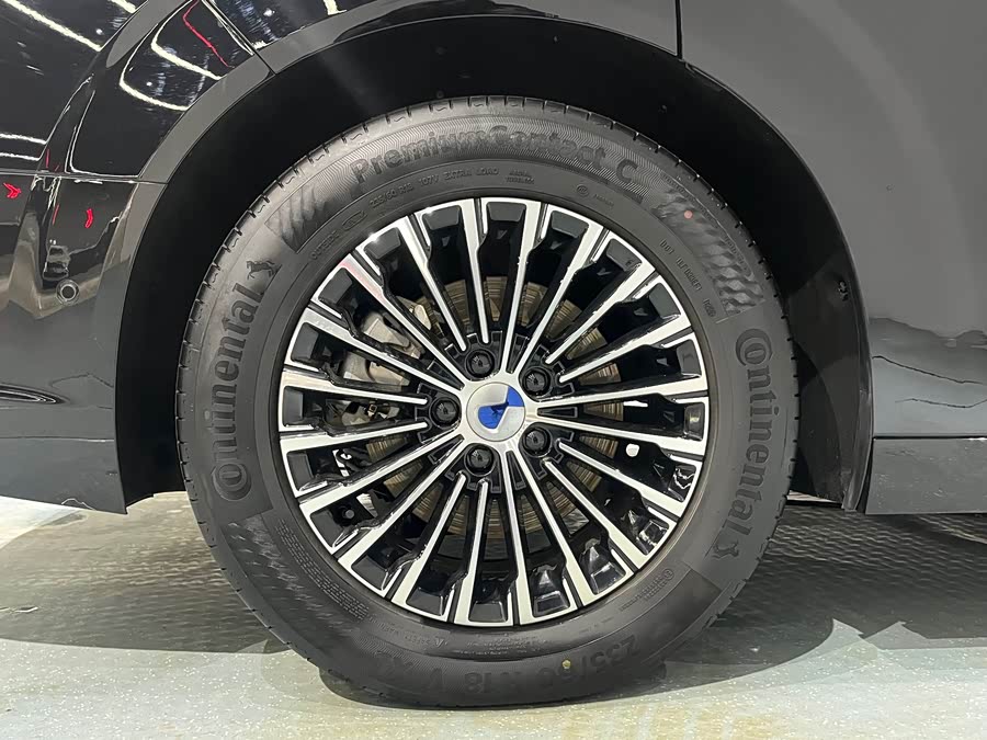 Denza D9 2025 imagen de coche #22