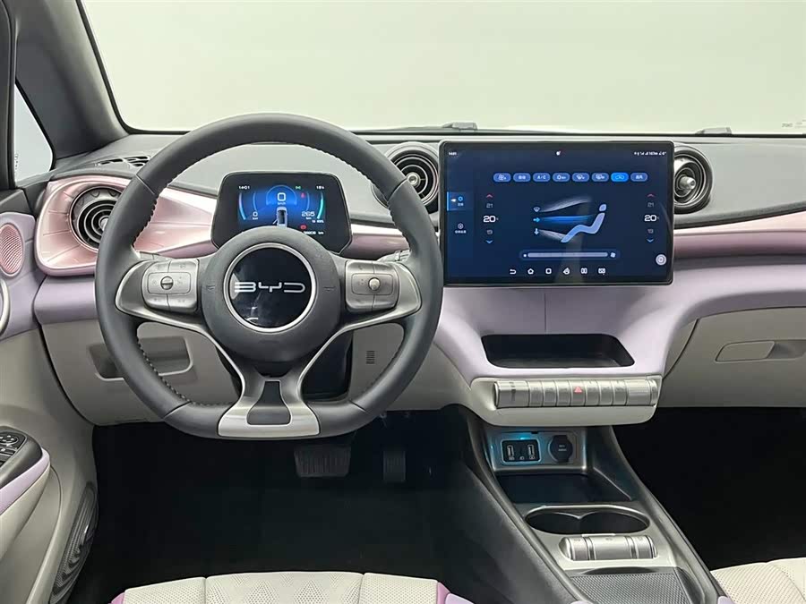 BYD Dolphin 2023 immagine di auto #22