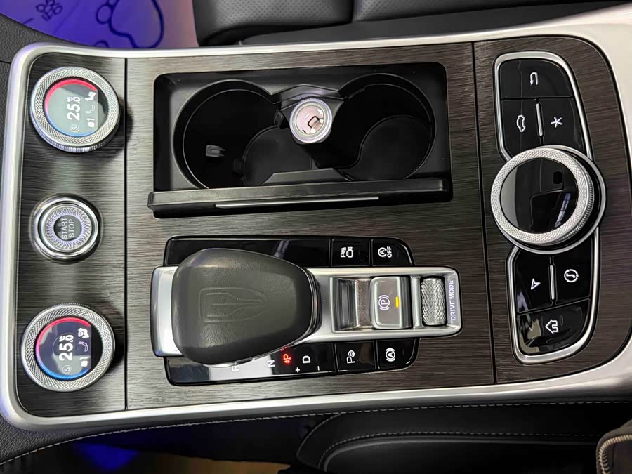 HongQi H9 2022 car image #22