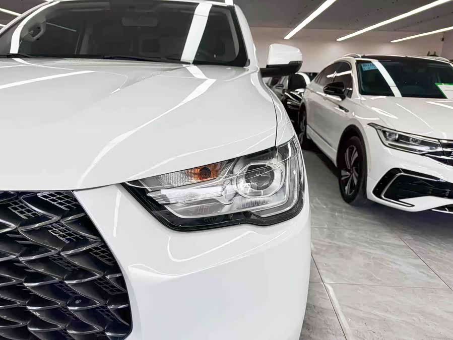 Great Wall Poer 2022 car image #22