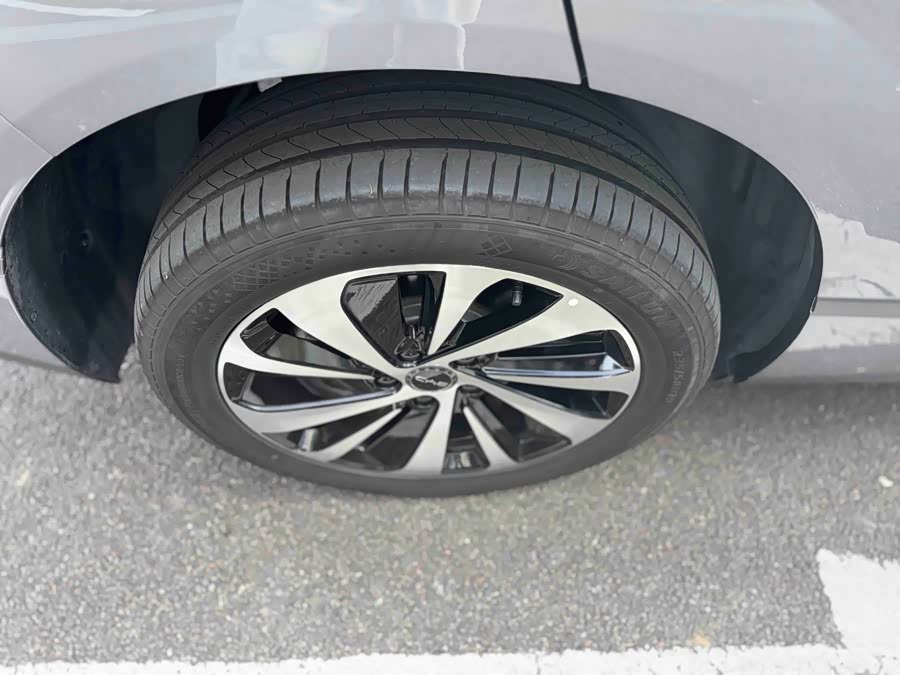 BYD Sea Lion 06 New Energy 2025 car image #22