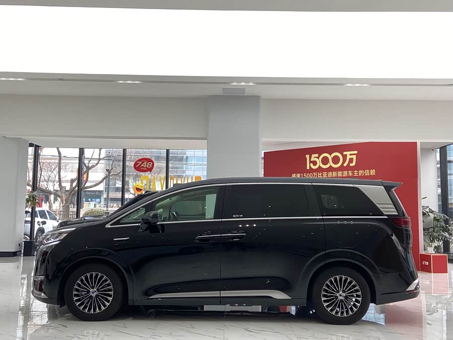 Denza D9 2024 car image #22