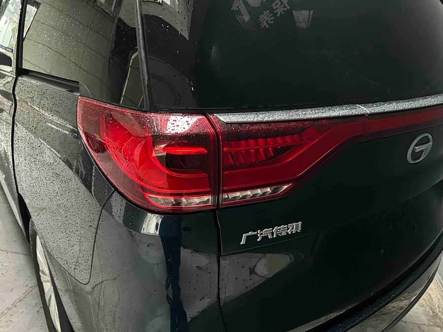 GAC Trumpchi M8 2019 car image #22