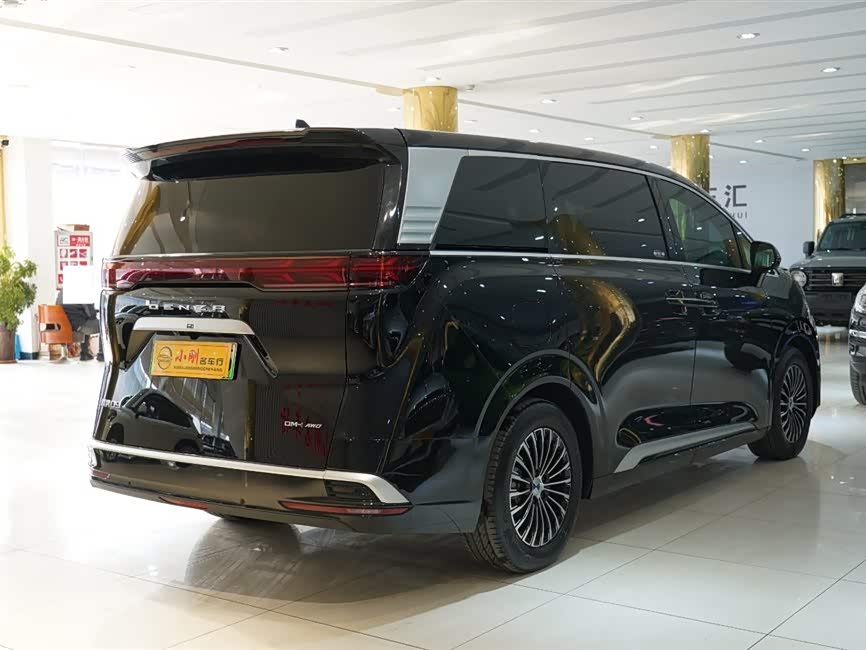 Denza D9 2025 imagen de coche #22