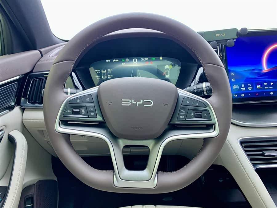 BYD Song Plus New Energy 2025 car image #22
