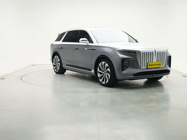 HongQi E-HS9 2023 image de voiture #22