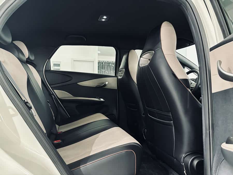 BYD Dolphin 2024 imagem de carro #22