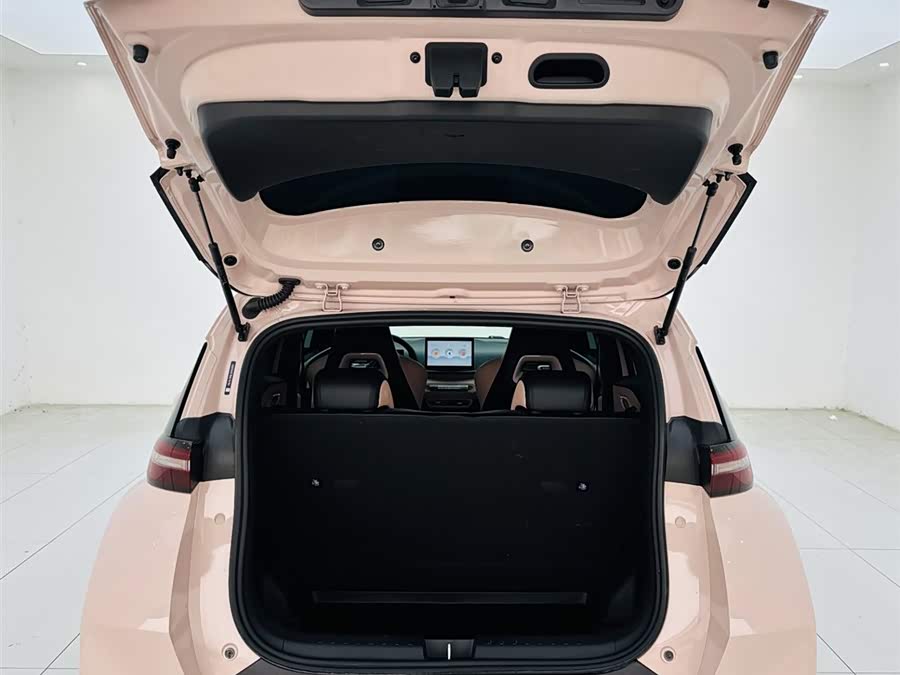 BYD Seagull 2024 car image #22