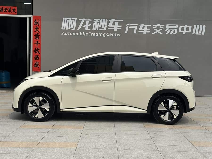 BYD Dolphin 2023 imagem de carro #22