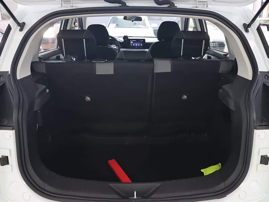 Beijing X3 2020 immagine di auto #22