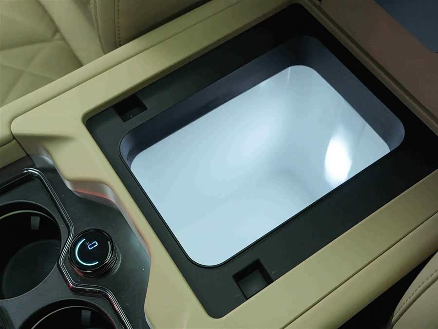 FangChengBao Leopard 8 2024 immagine di auto #22