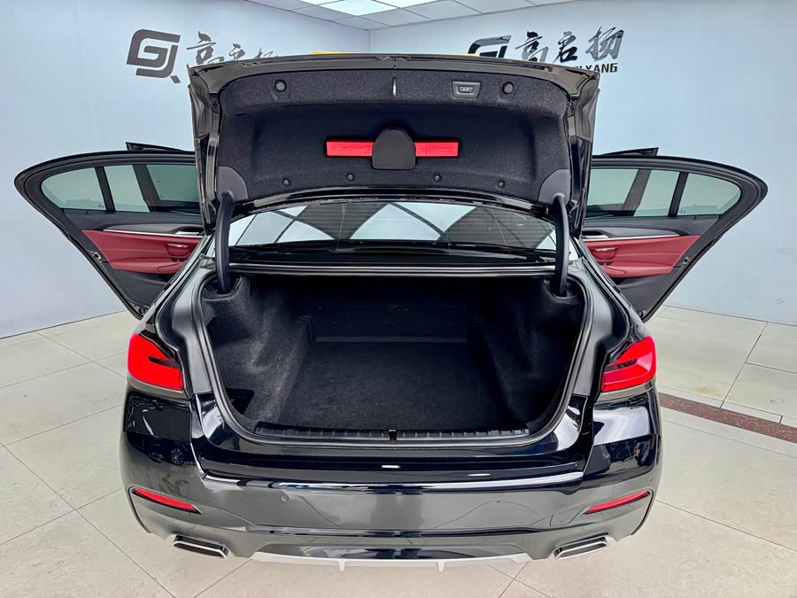 BMW 5 Series 2020 immagine di auto #22