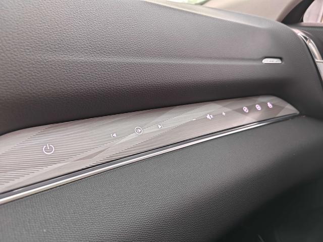 HongQi HS3 2023 immagine di auto #22