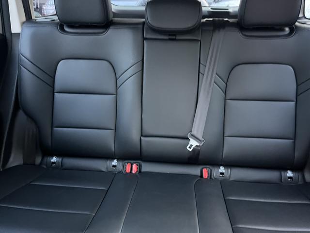 Haval Raptor 2025 immagine di auto #22