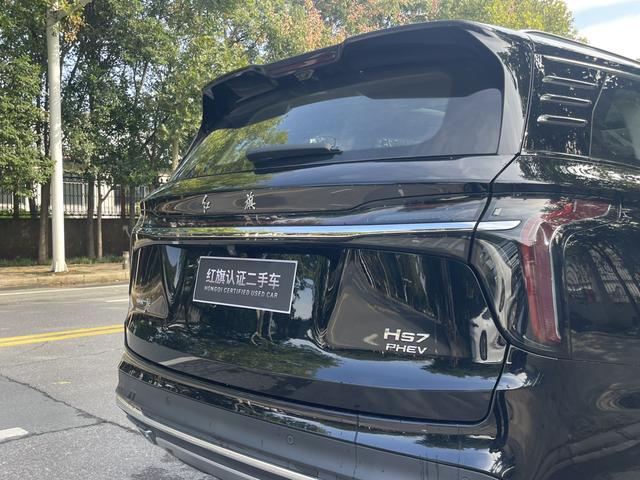 HongQi HS7 PHEV 2024 immagine di auto #22