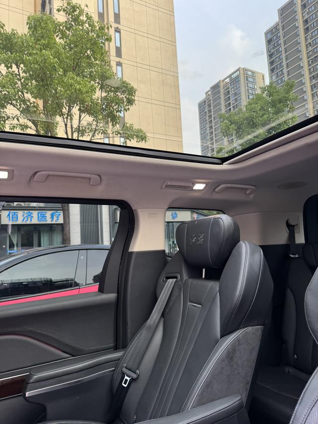 HongQi HQ9 2023 car image #22