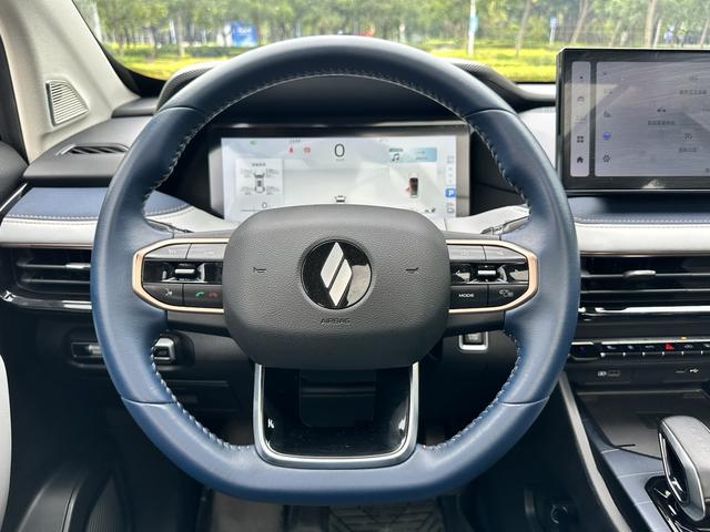 睿蓝汽车 睿蓝9 2023 汽车图片 #22