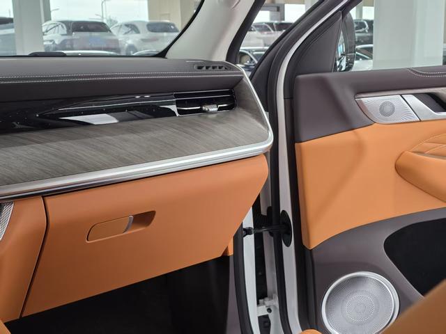 Tank 500 2024 car image #22