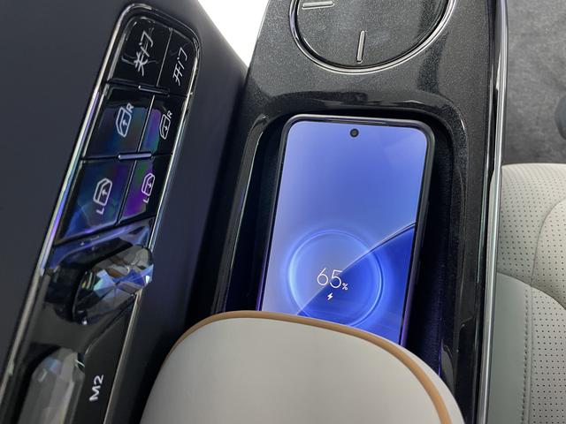 极氪 极氪009 2024 汽车图片 #22