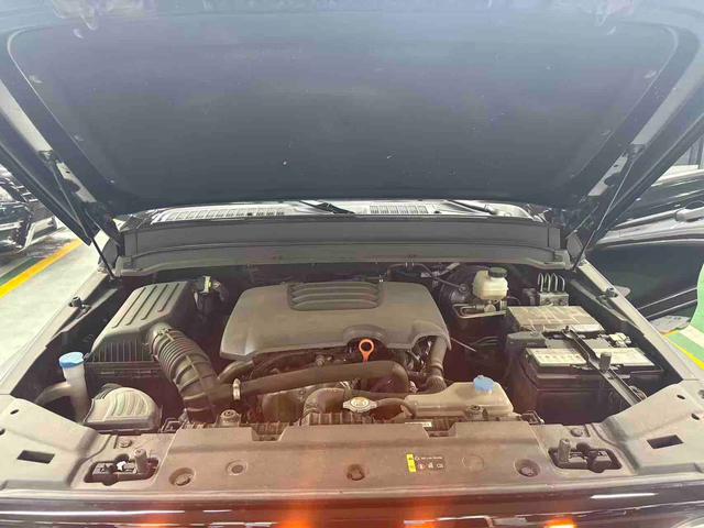 Tank 300 2022 car image #22