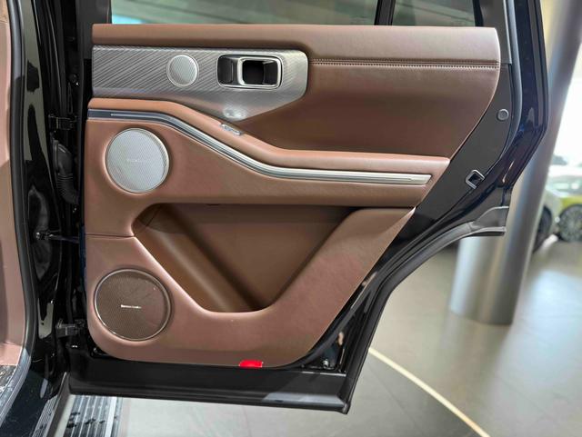 Tank 700 New Energy 2024 immagine di auto #22