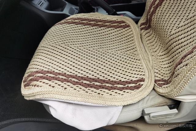 Forthing Lingzhi 2021 immagine di auto #22