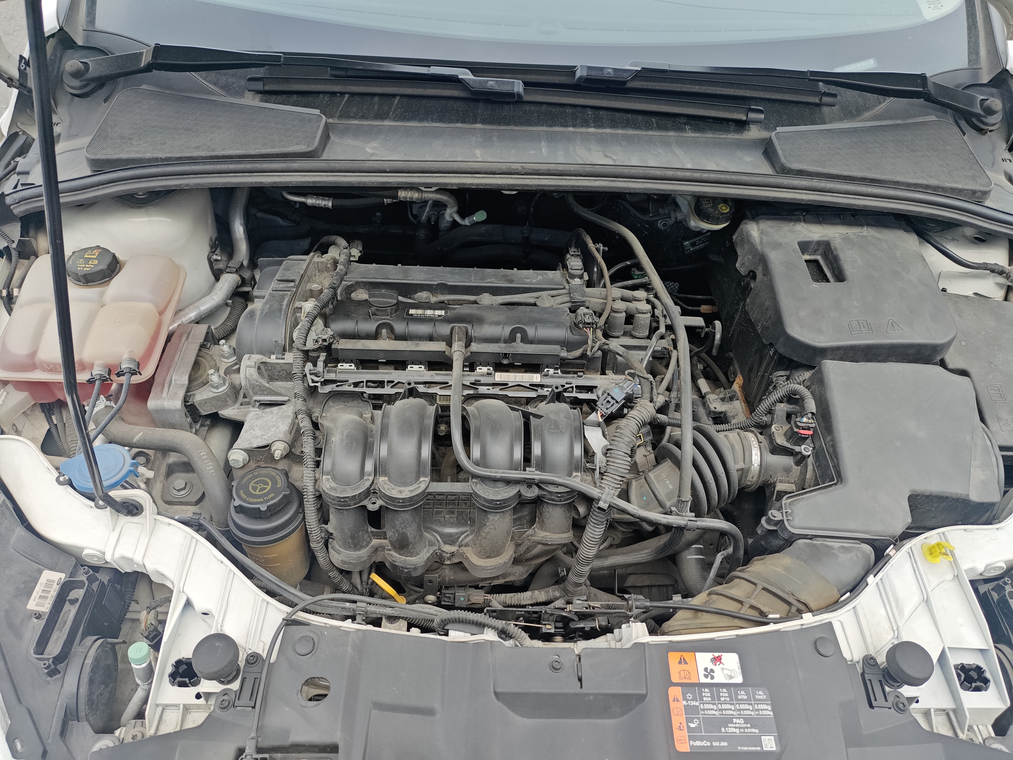 Ford Focus 2018 #22 Ford Focus 2018 car image #22