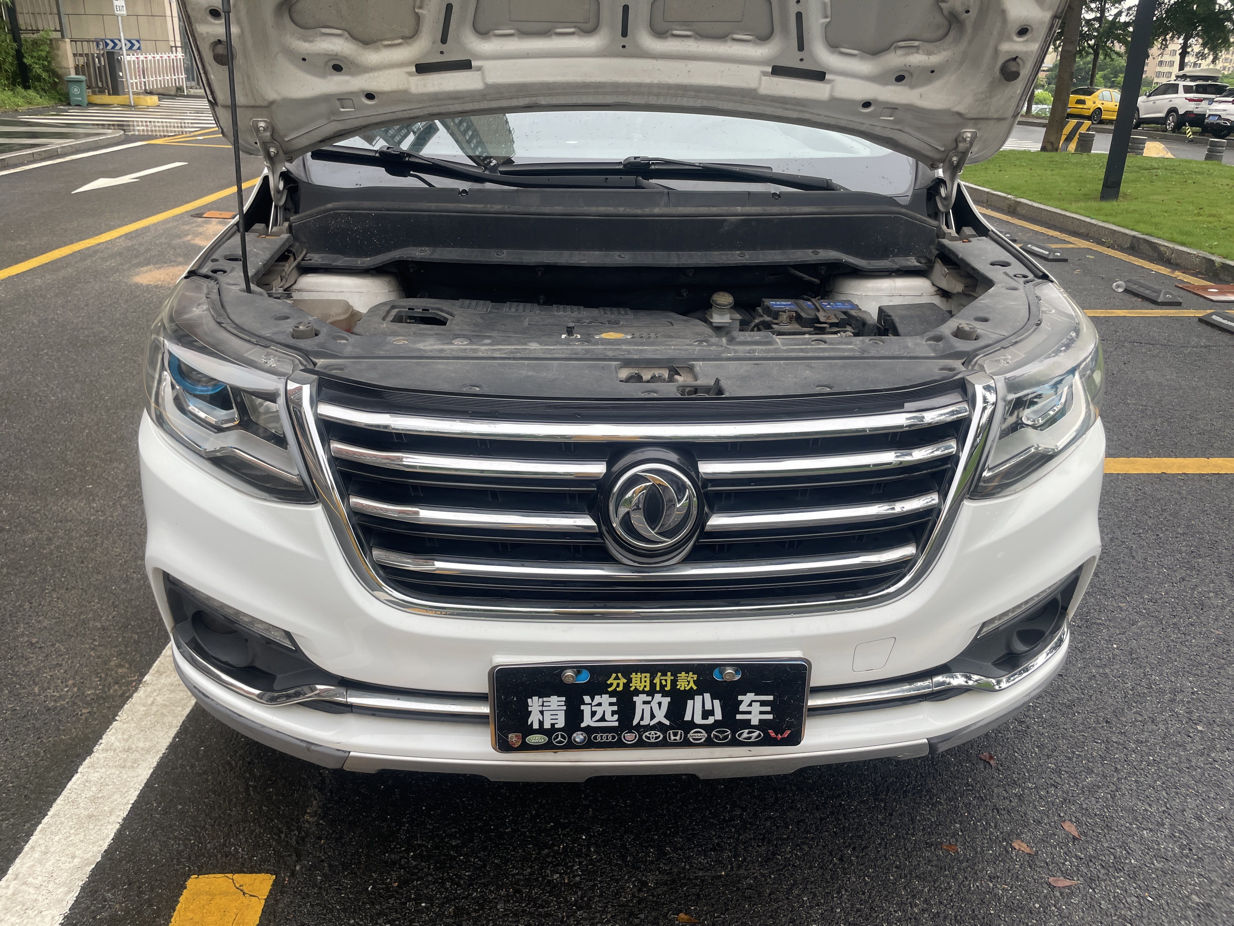 Forthing SX6 2016 car image #22