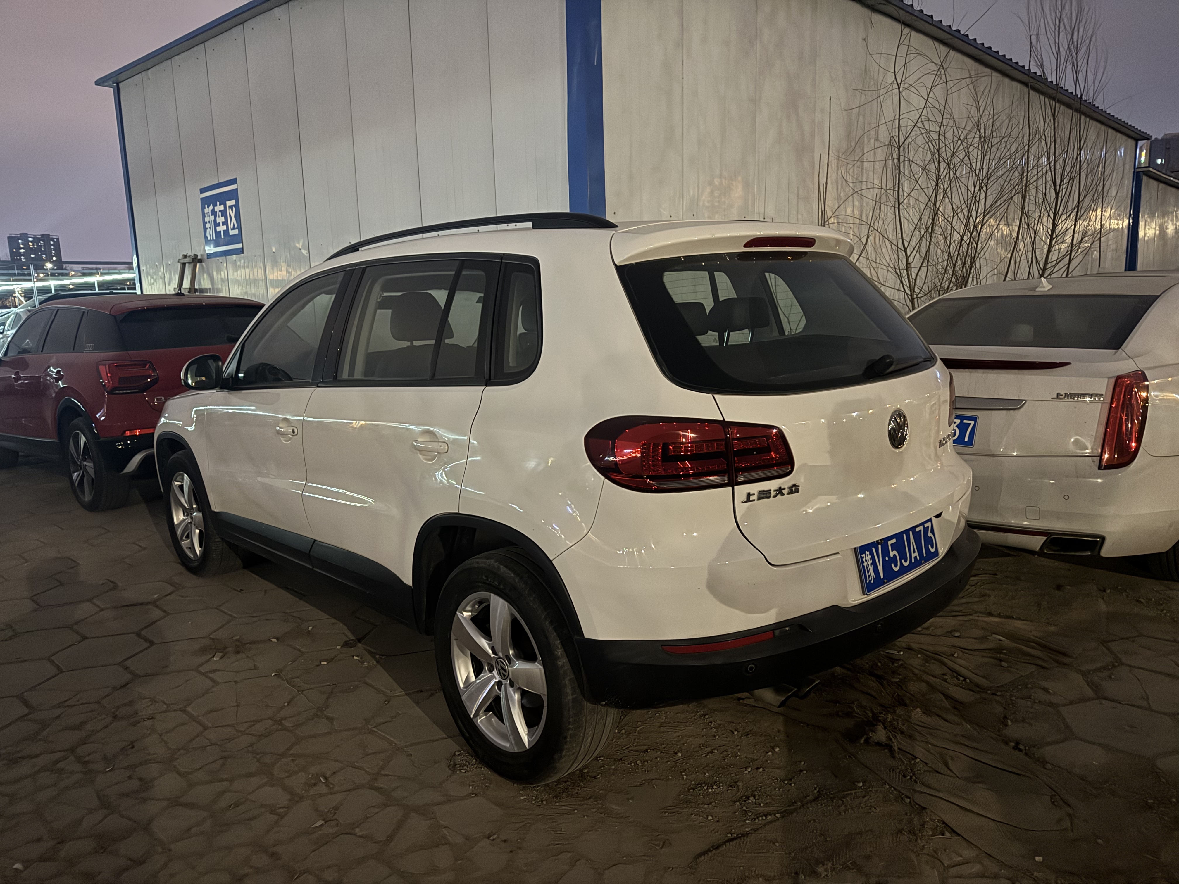 Volkswagen Tiguan 2014 car image #22