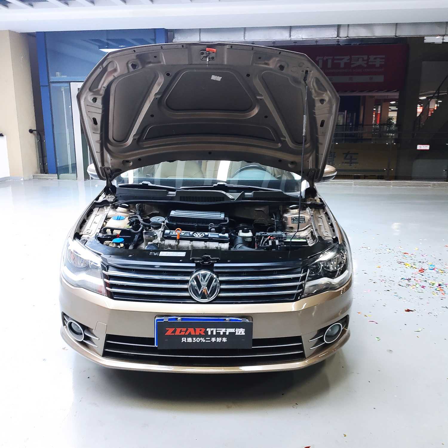 Volkswagen Bora 2013 car image #22