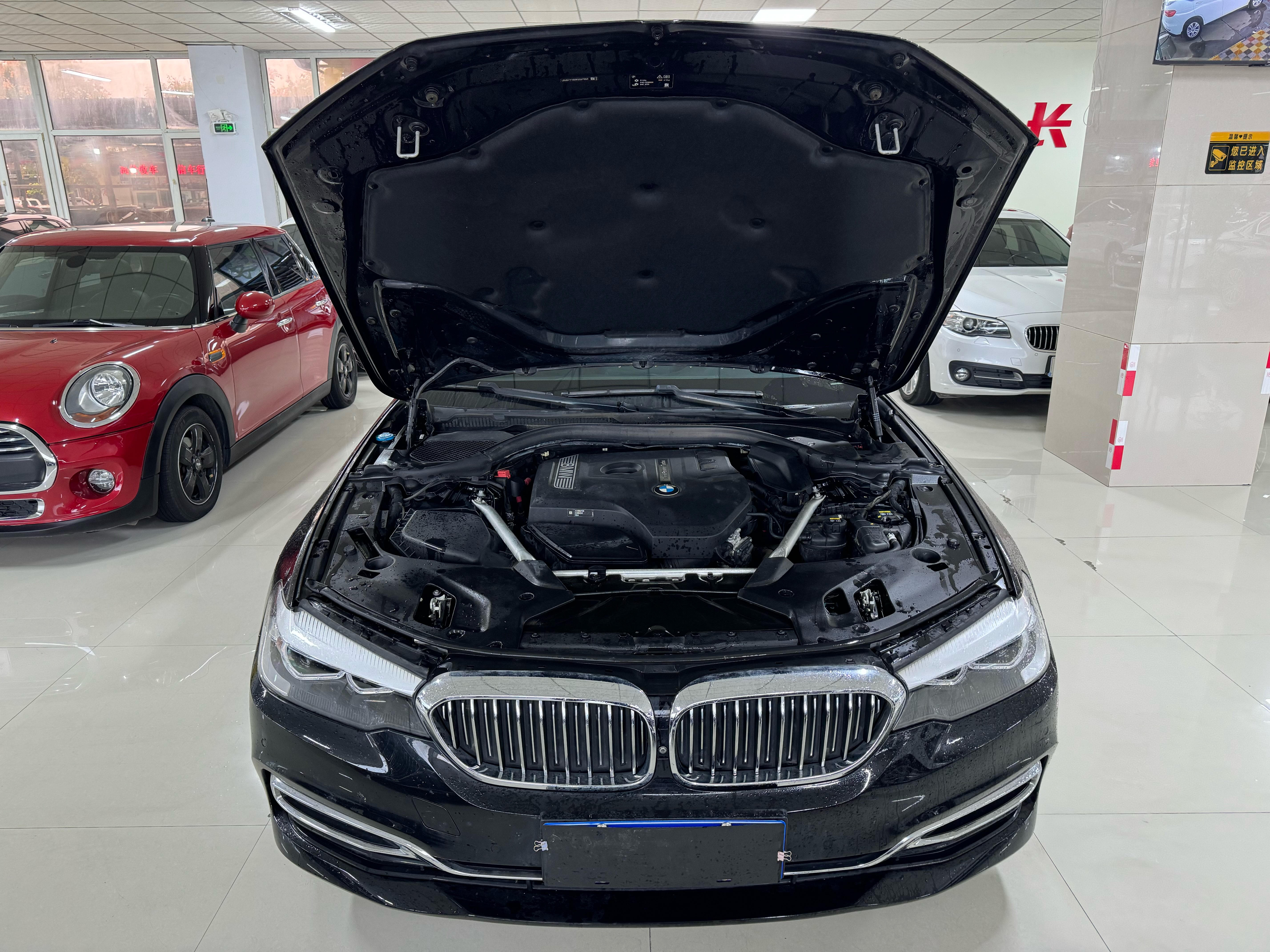 BMW 5 Series 2019 car image #22