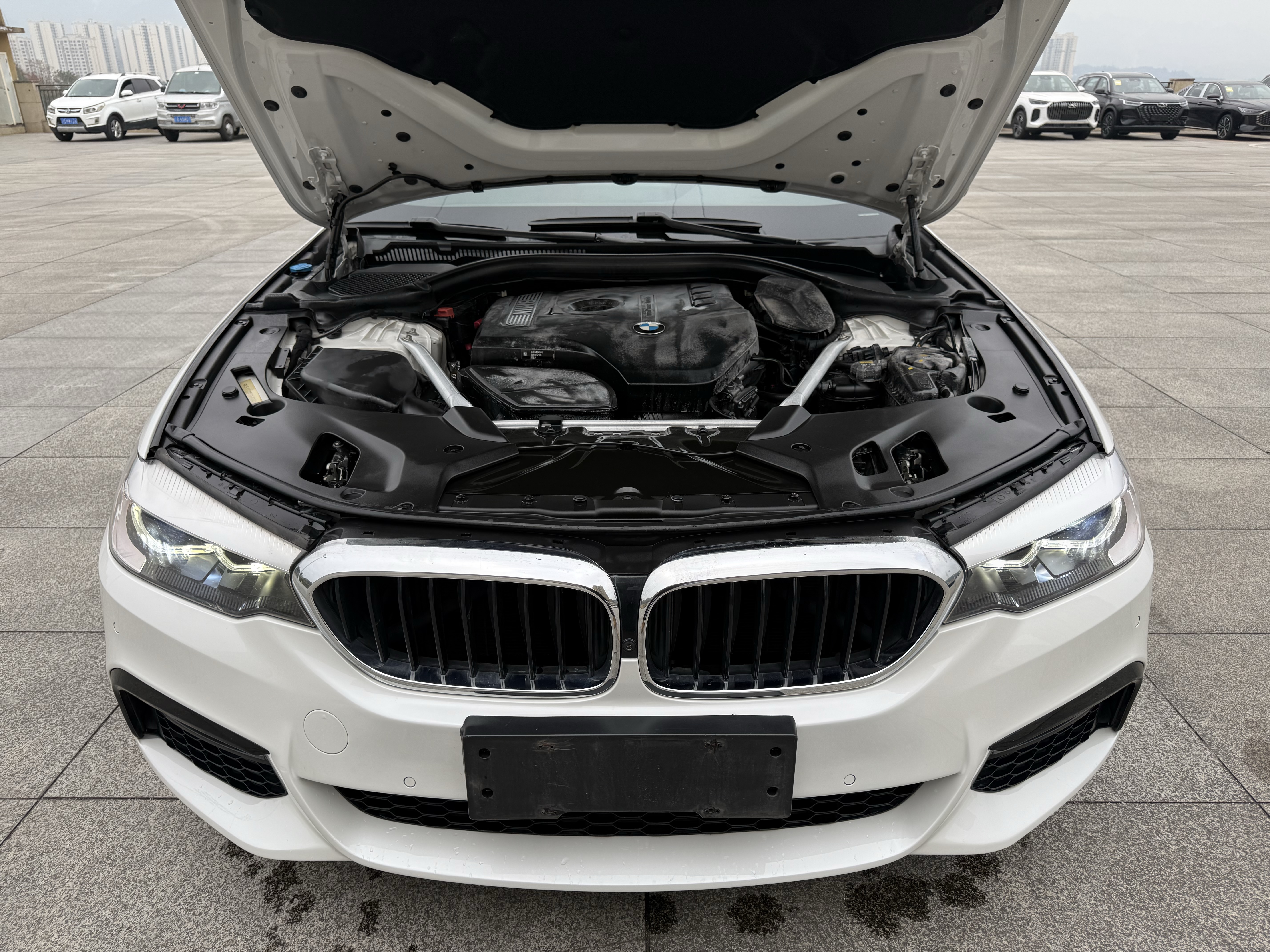 BMW 5 Series 2019 car image #22