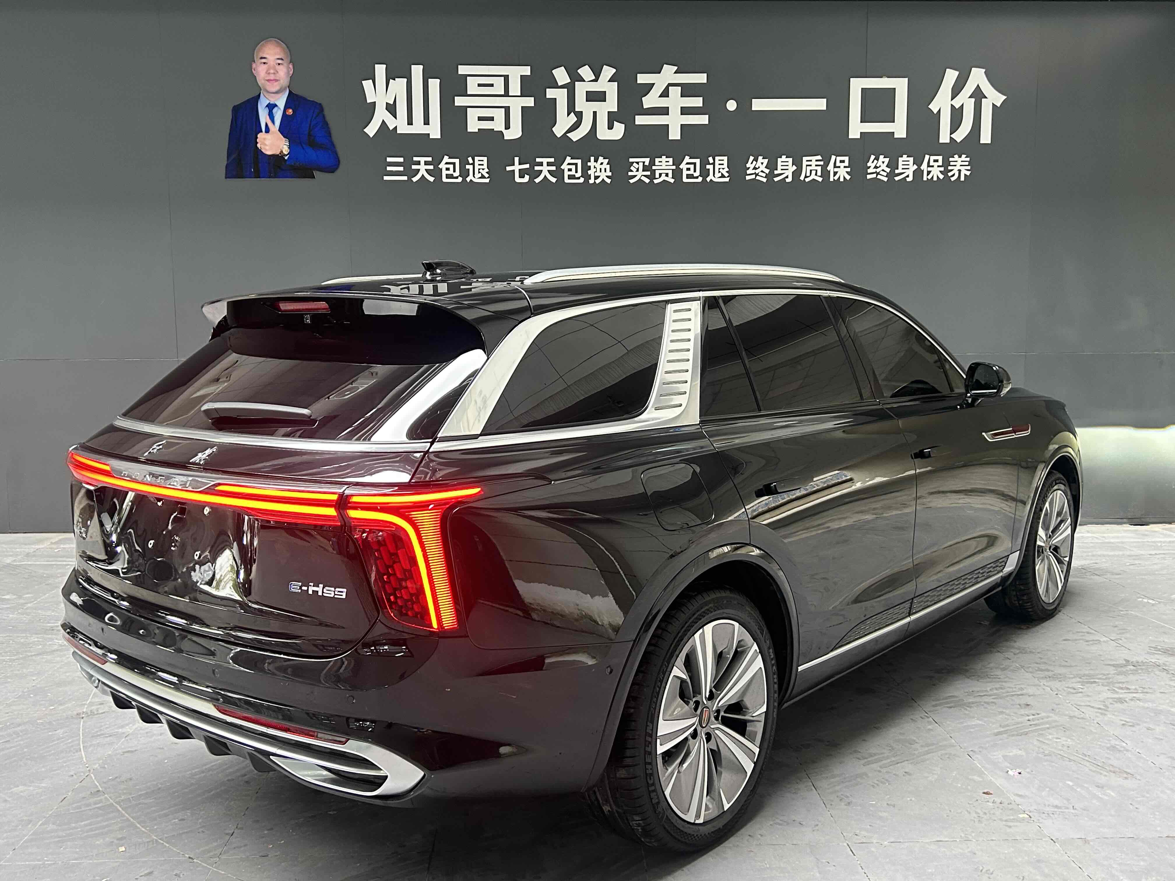 HongQi E-HS9 2022 immagine di auto #22
