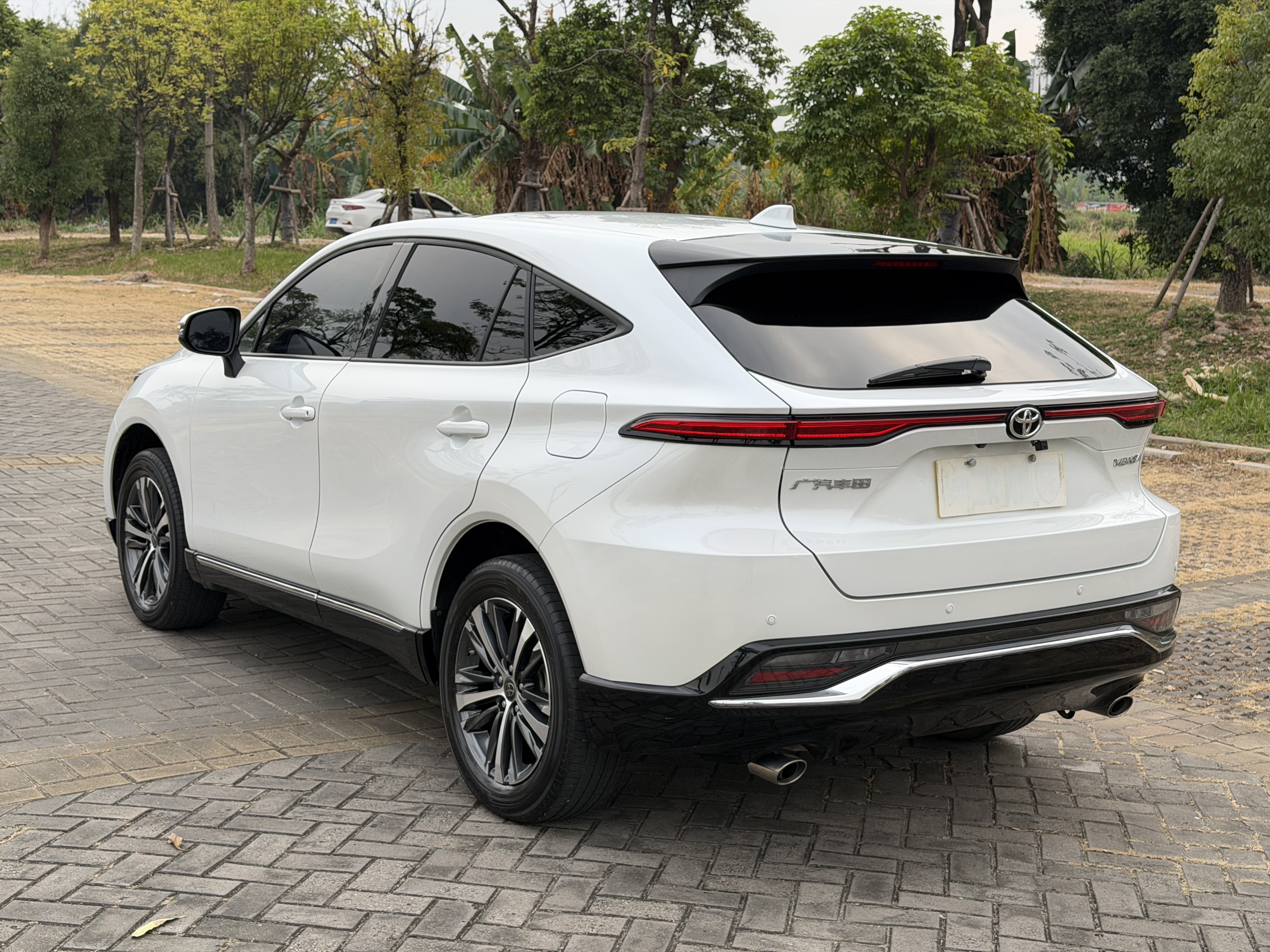 Toyota Venza 2023 immagine di auto #22