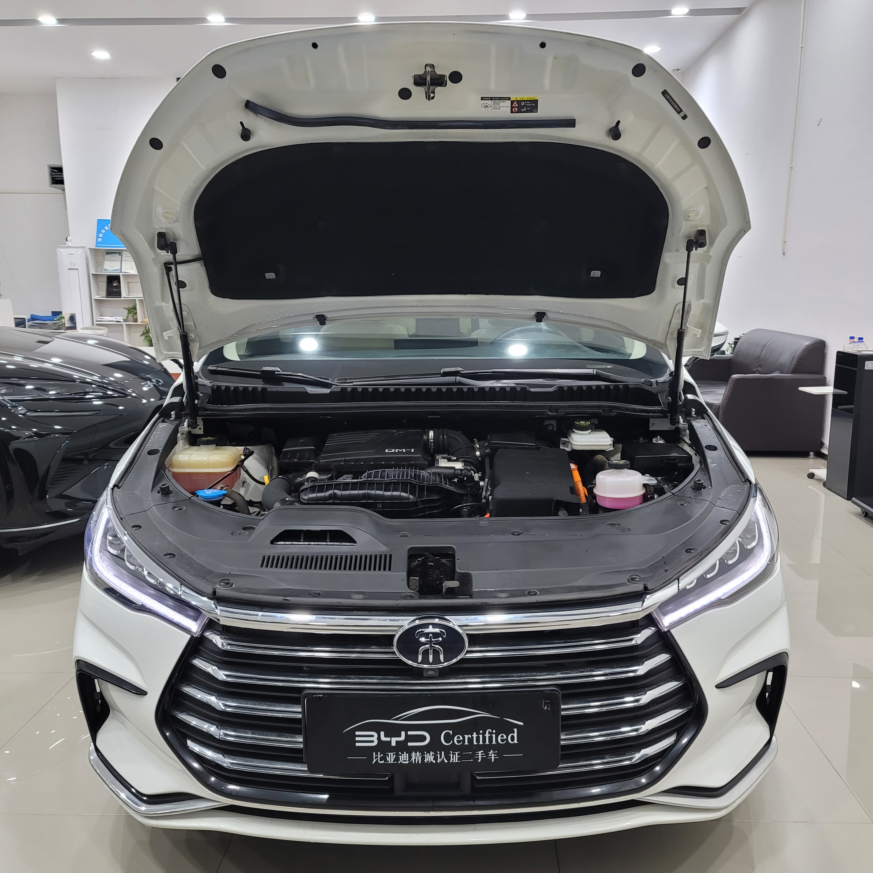 BYD Song MAX New Energy 2023 immagine di auto #22