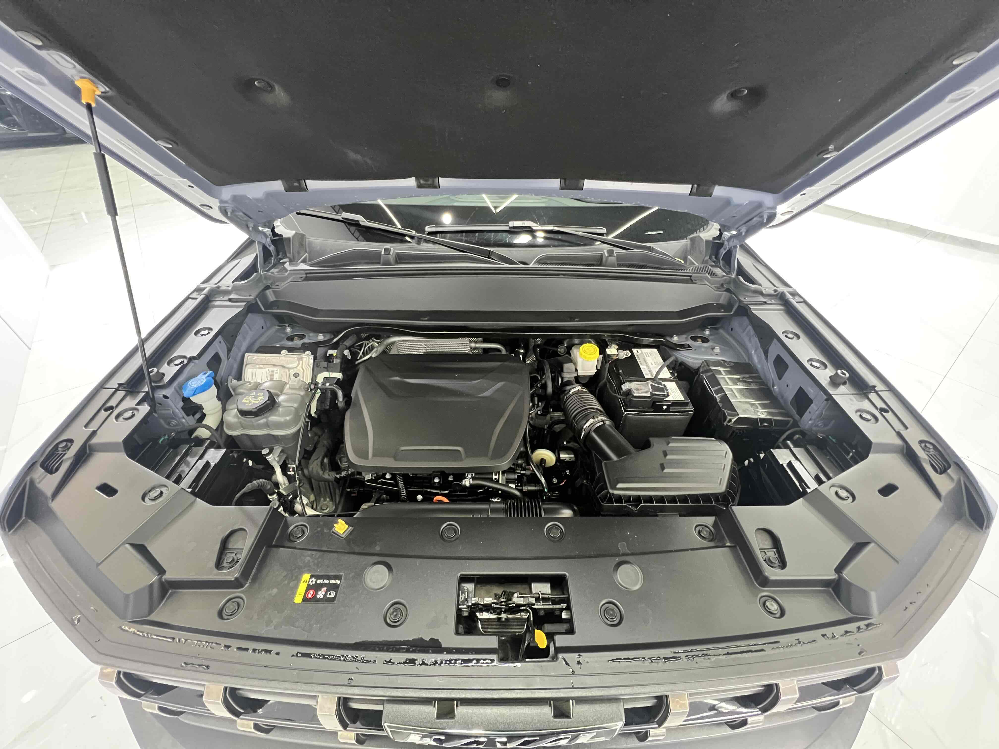 Haval Dargo 2022 car image #22