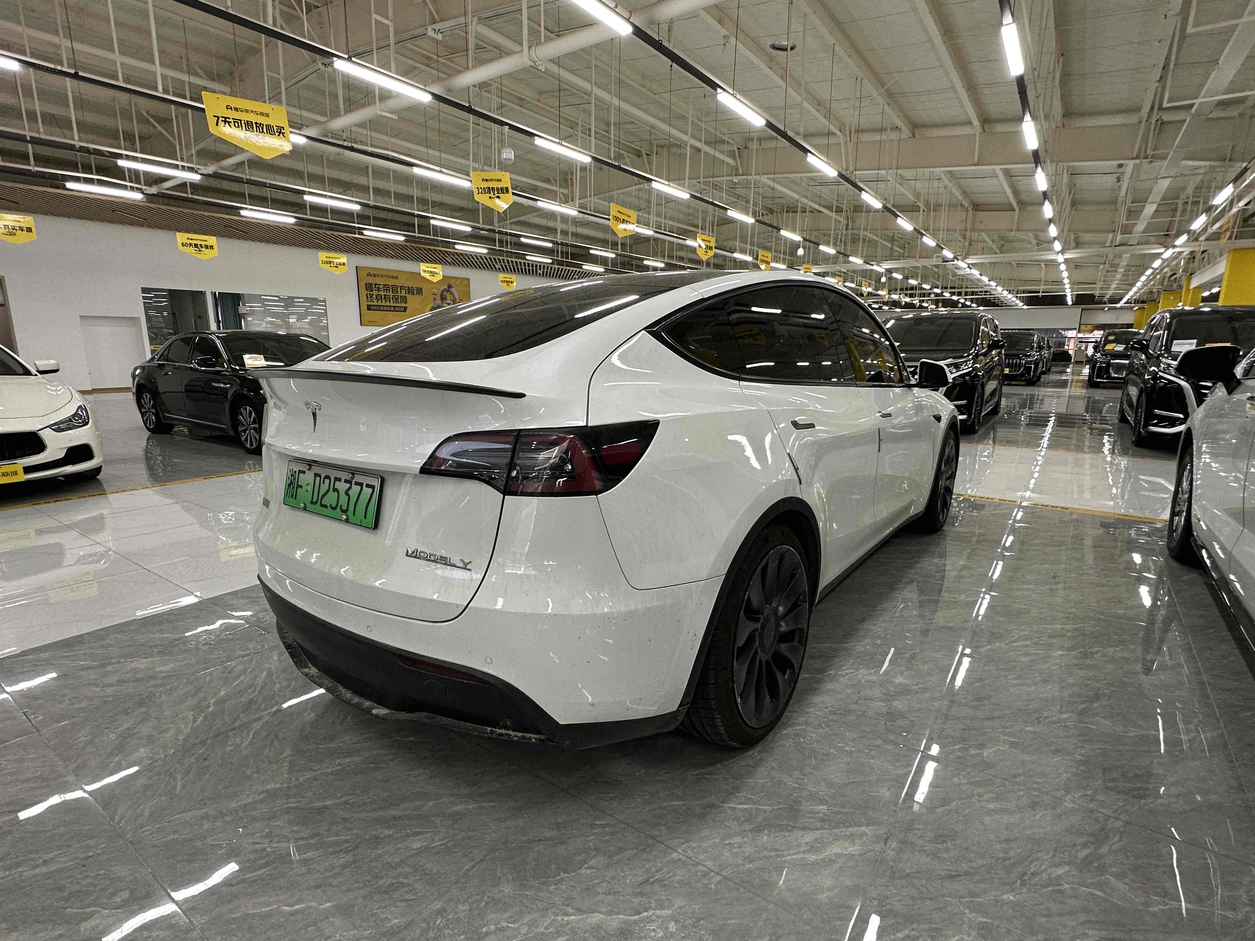 Tesla Model Y 2023 #22 Tesla Model Y 2023 car image #22