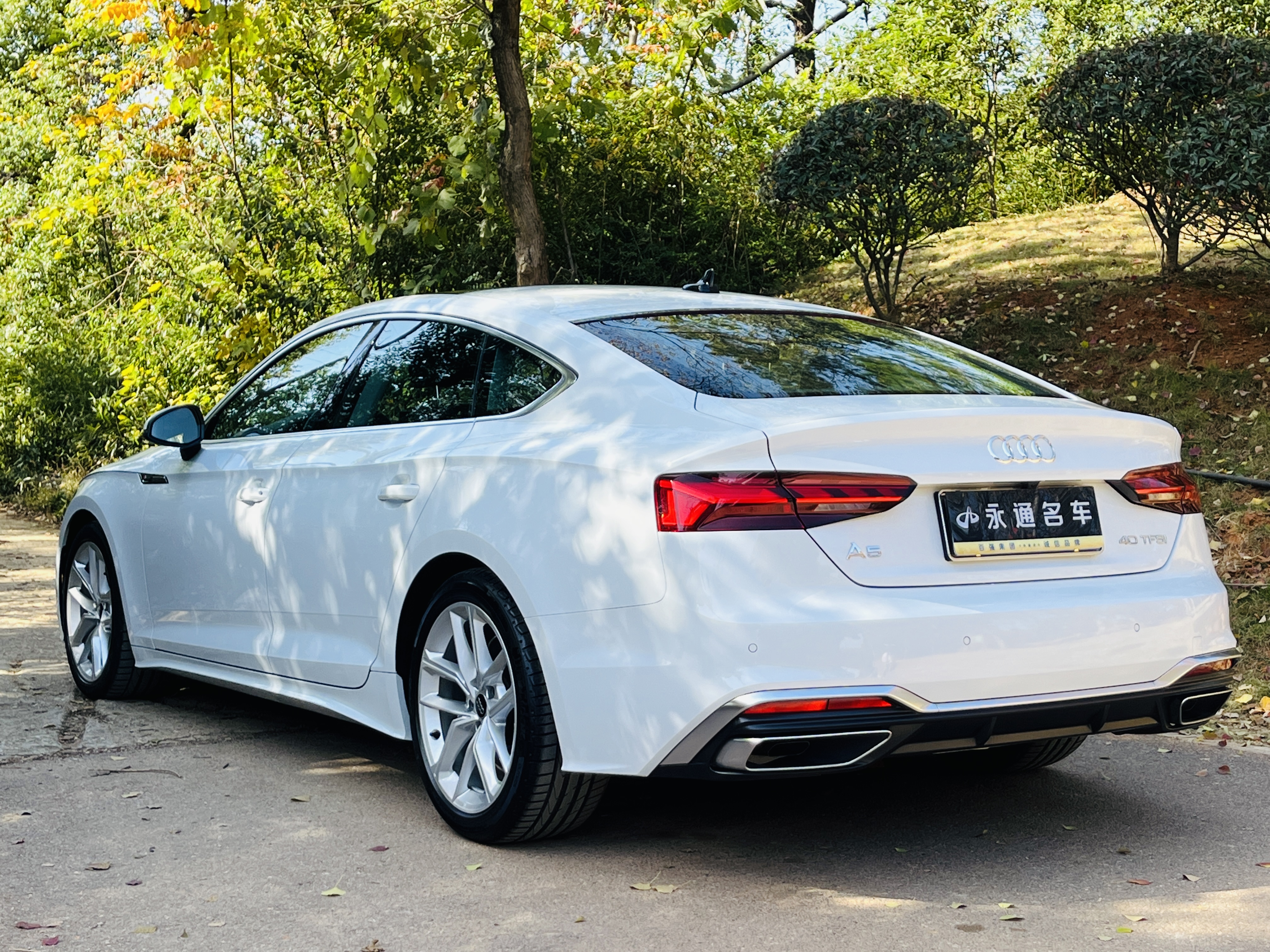 Audi A5 (Imported) 2024 car image #22