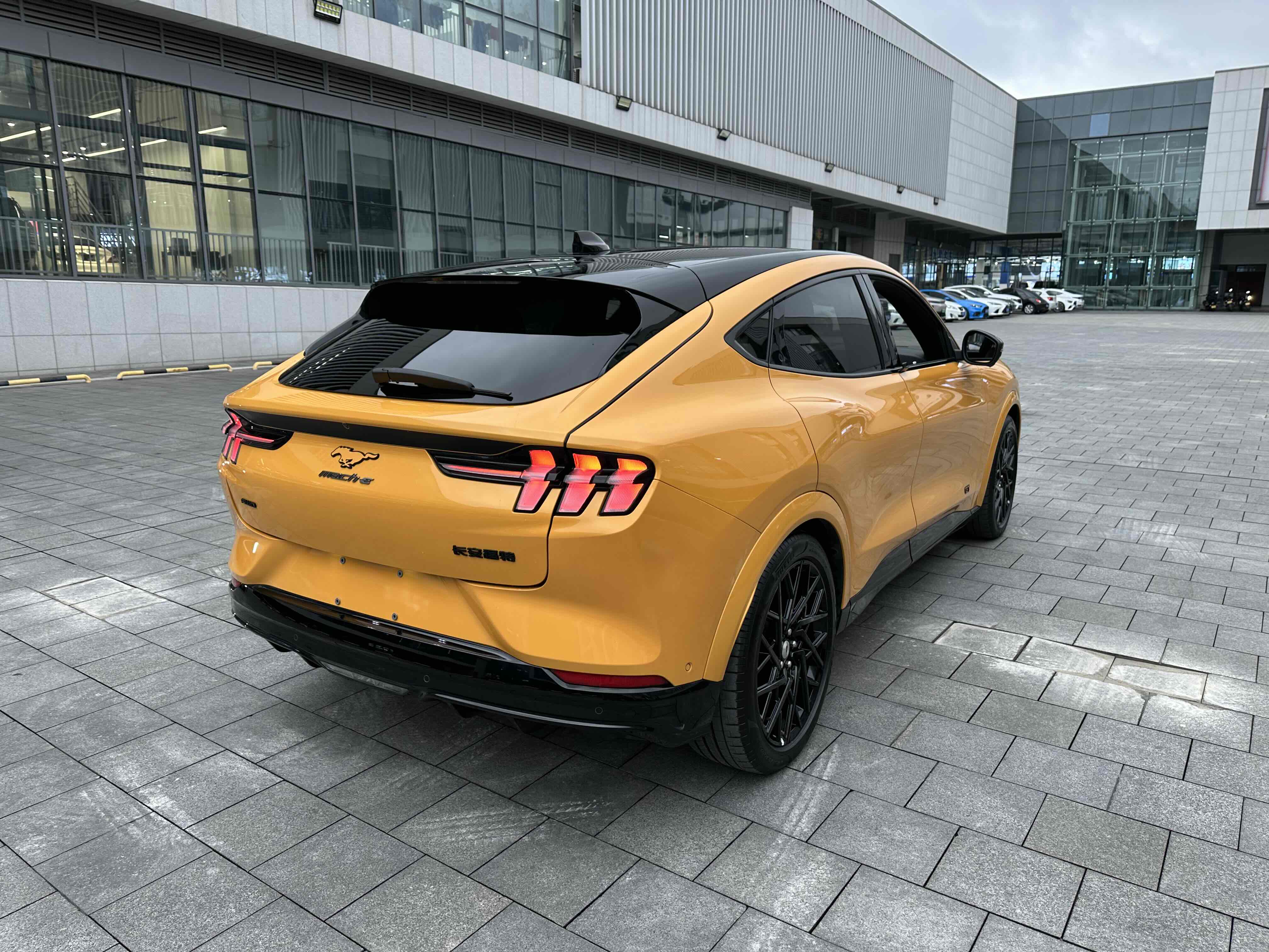 Ford Mustang Mach-E 2024 car image #22