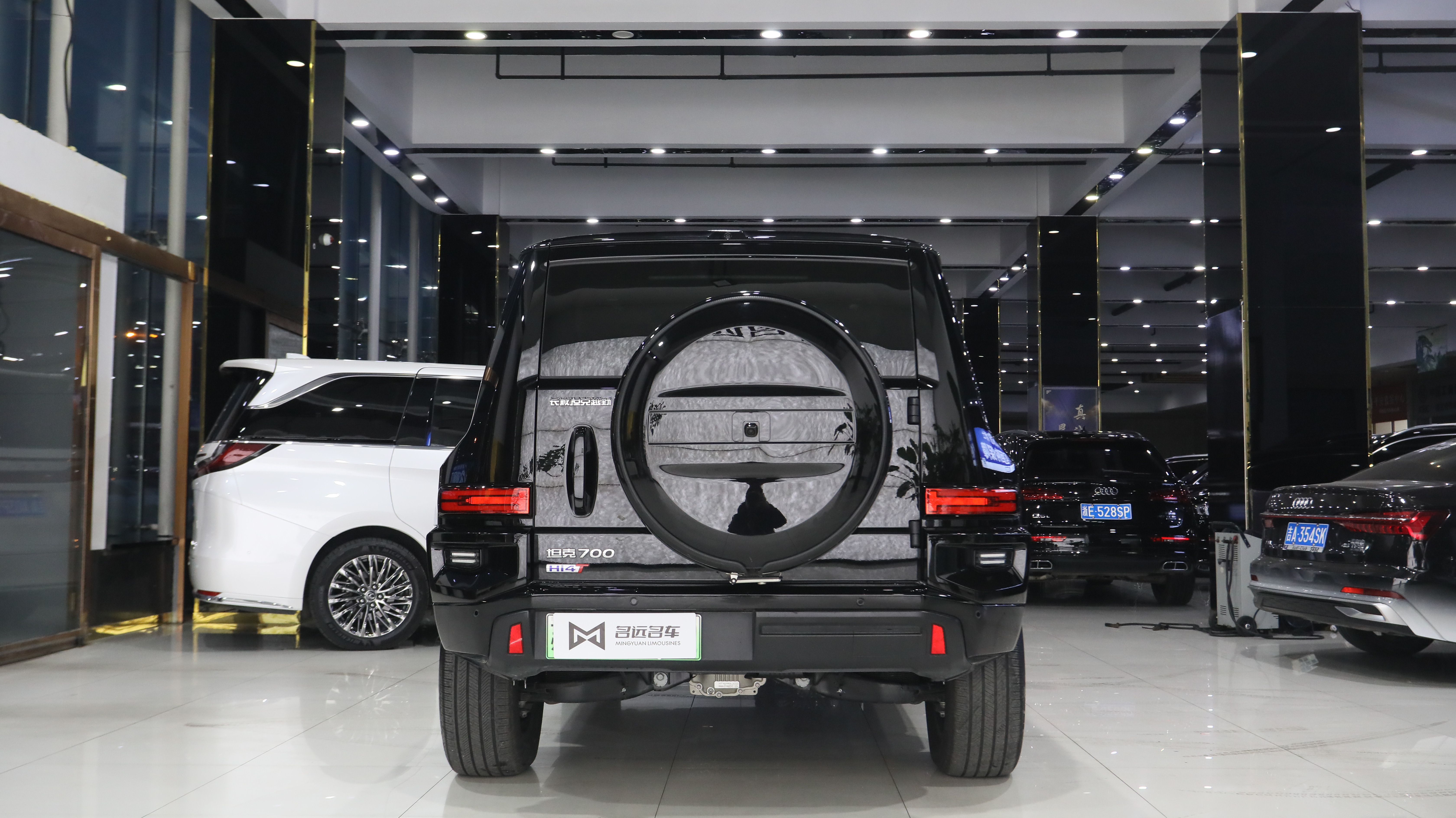 Tank 700 New Energy 2024 immagine di auto #22