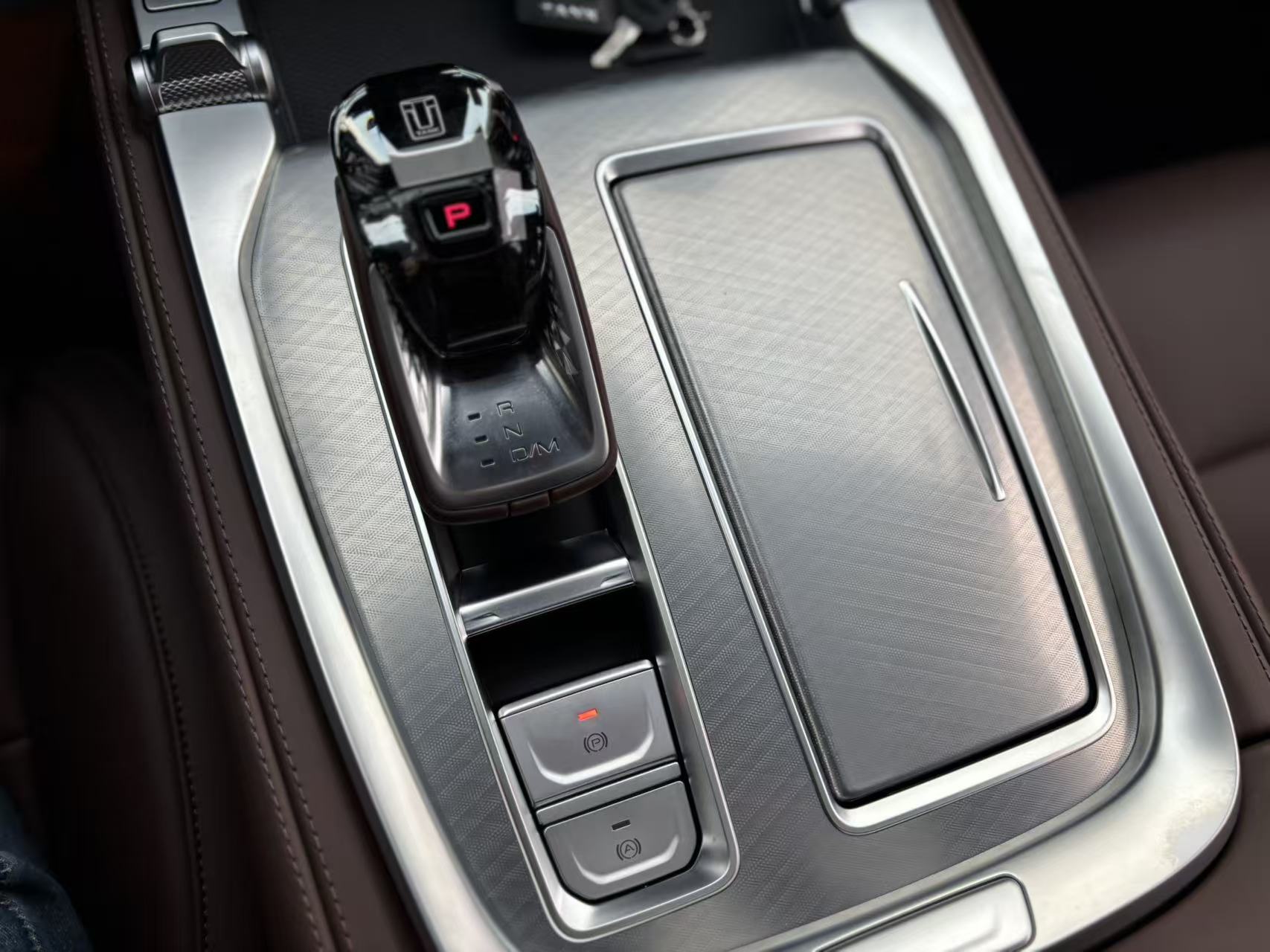 Tank 700 New Energy 2024 immagine di auto #22