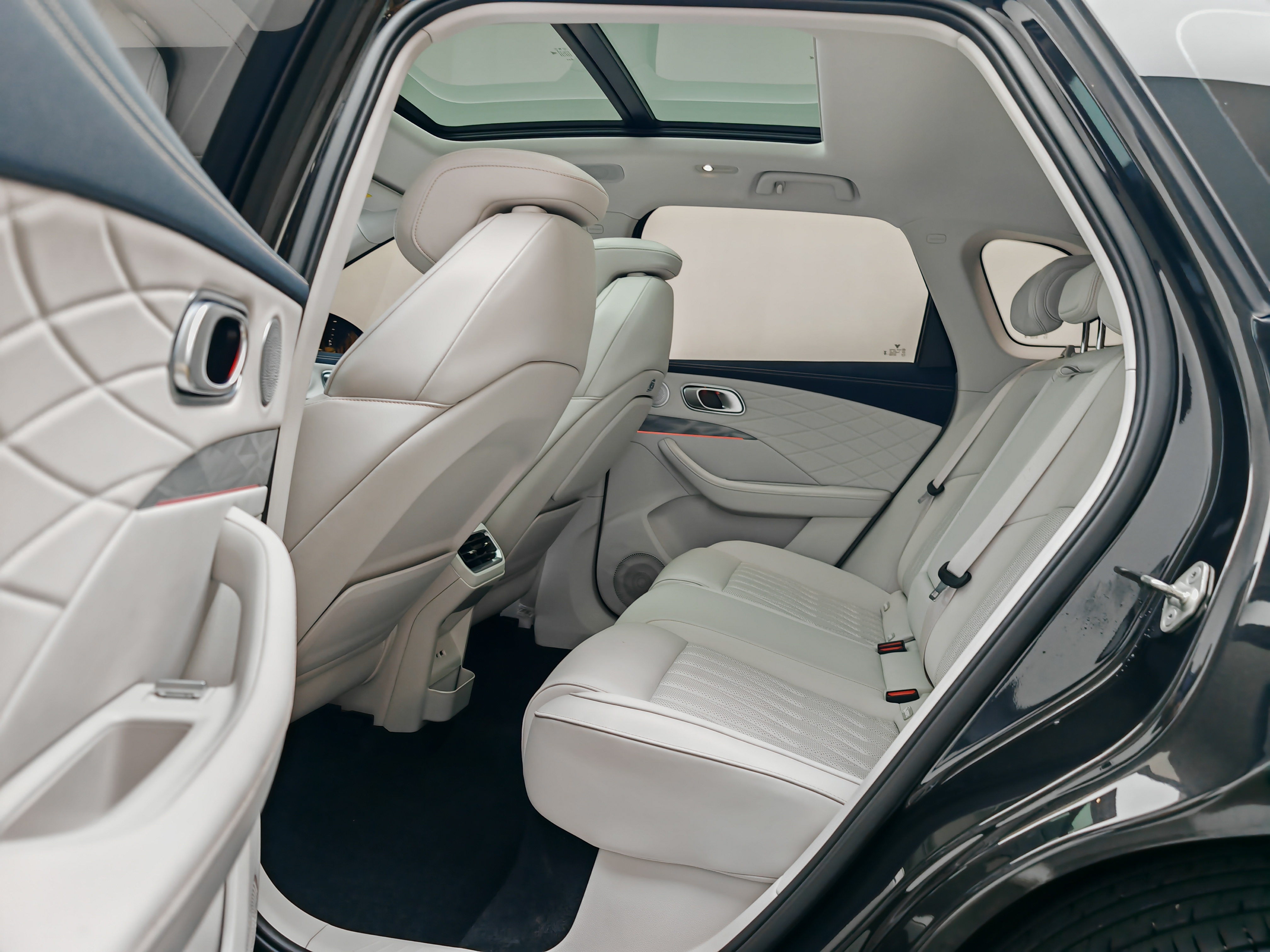 Neta L 2024 imagen de coche #22