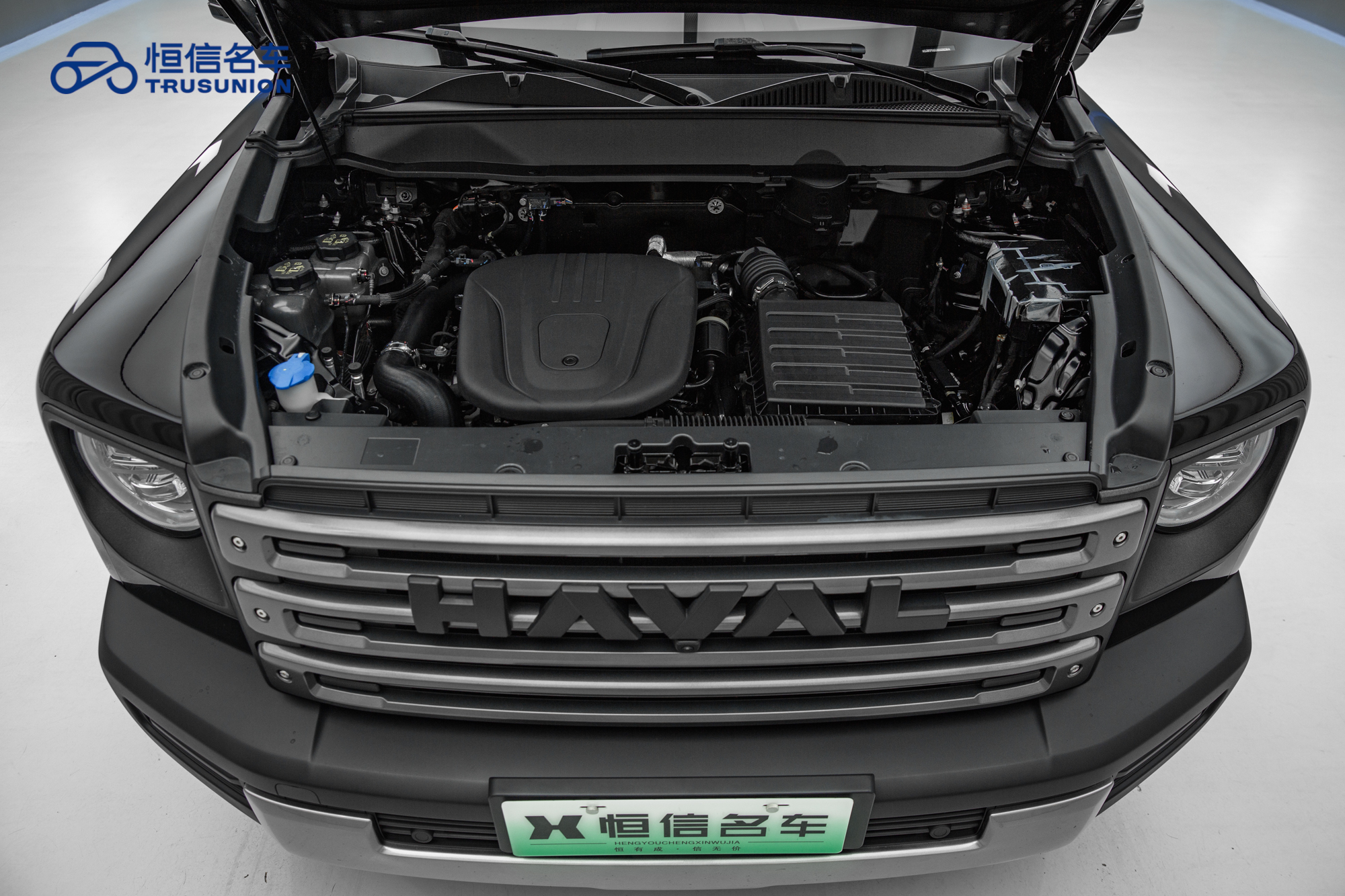 Haval Raptor 2024 immagine di auto #22