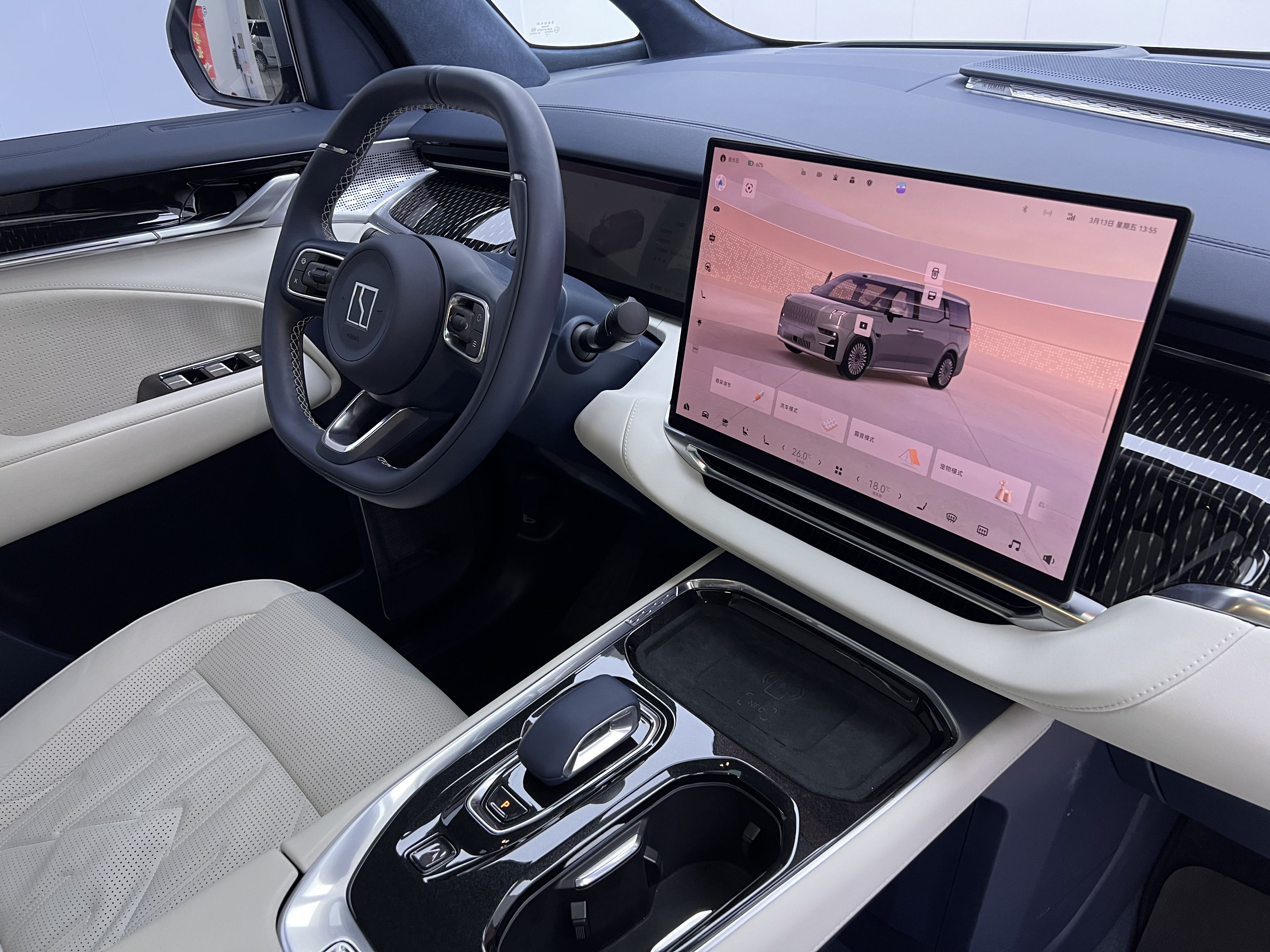 极氪 极氪009 2025 汽车图片 #22