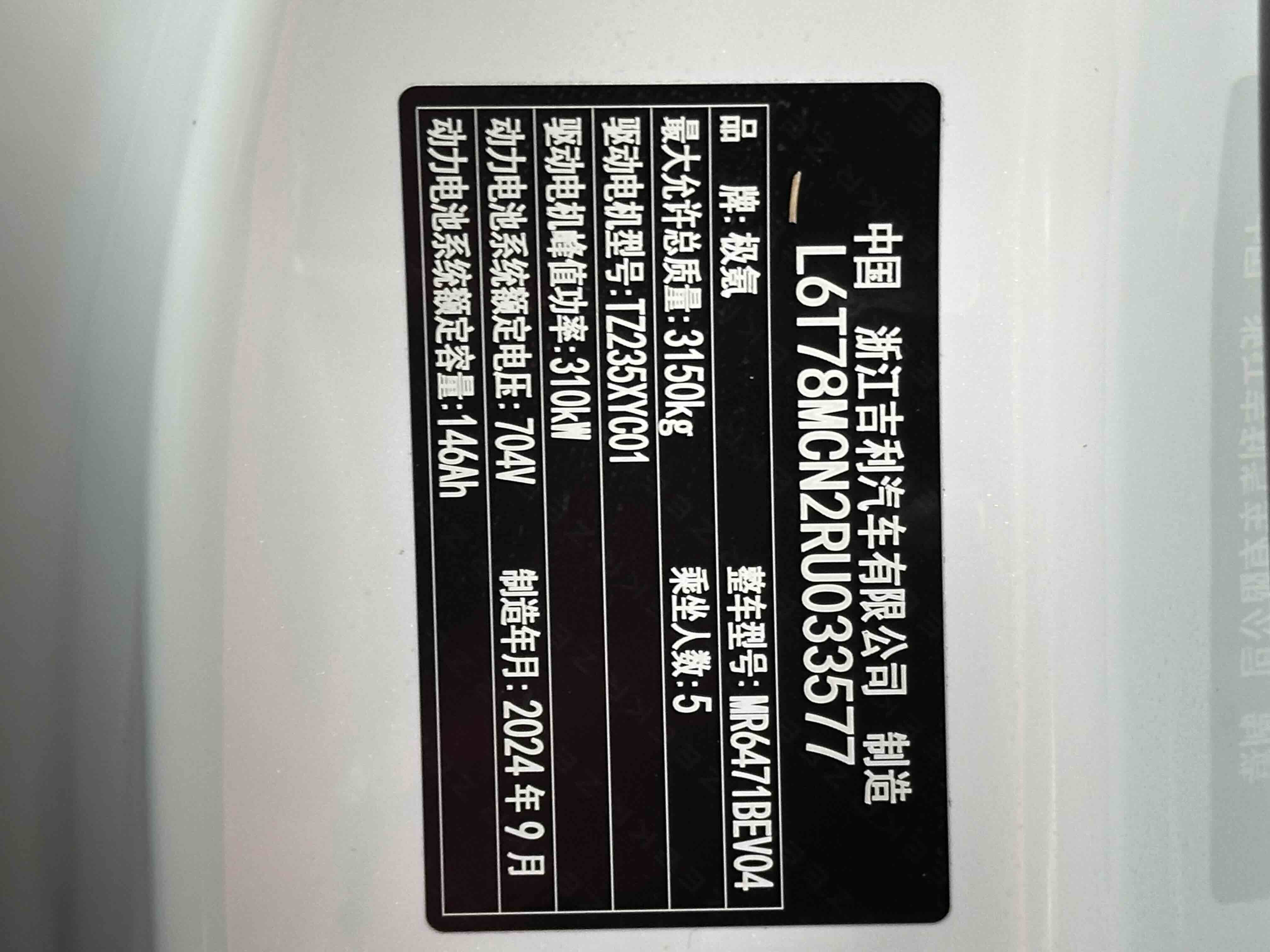 极氪 极氪MIX 2024 汽车图片 #22