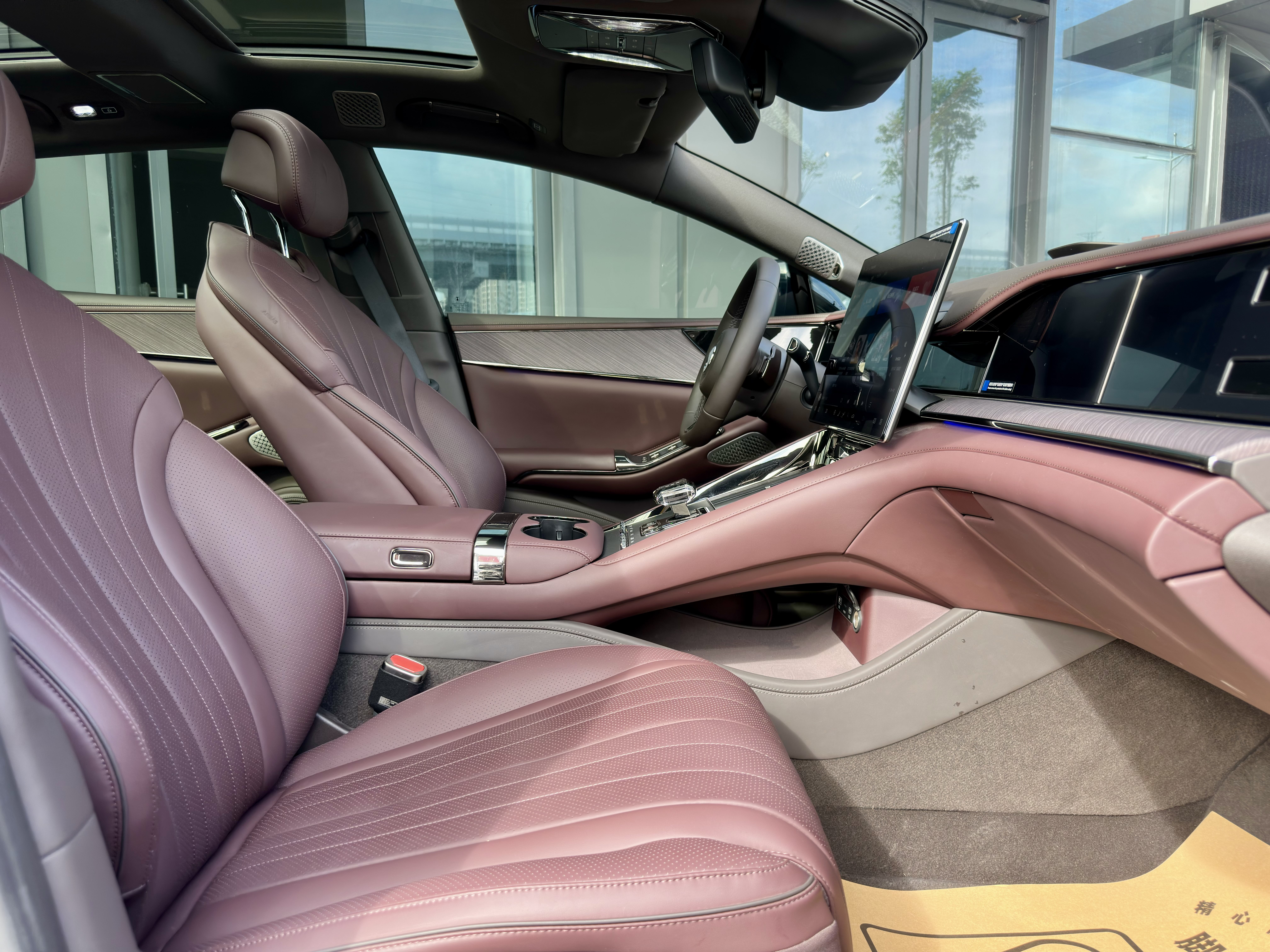 Denza X 2024 image de voiture #22