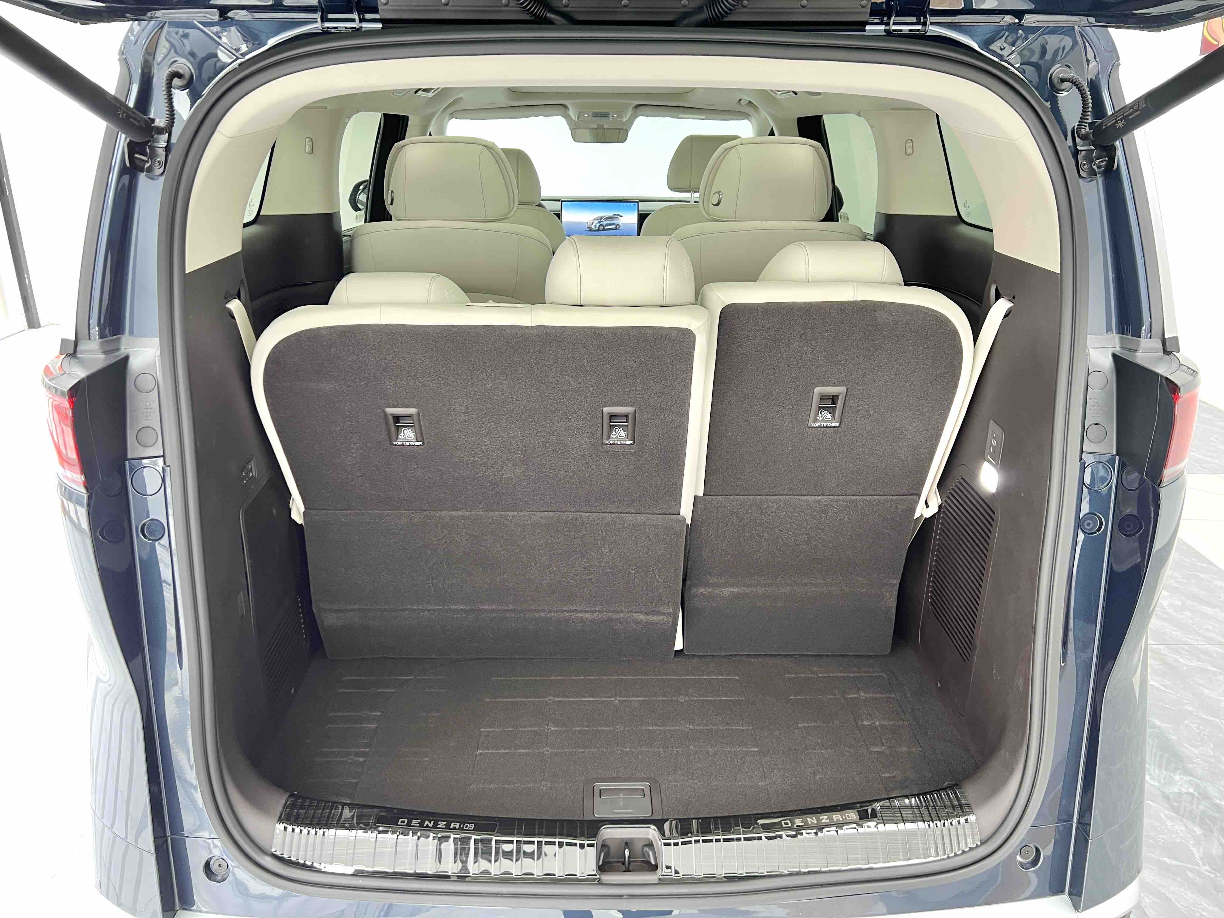 Denza D9 2025 car image #22